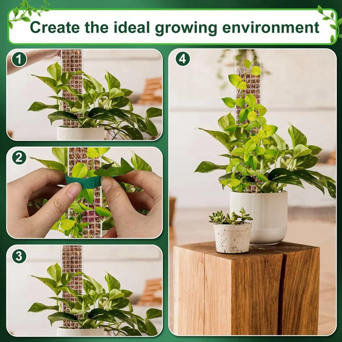 A24I 4 قطعة أقطاب الطحلب مع التعادل البلاستيك عمود النبات عصا النبات دعم أدوات الحدائق لحديقة الفناء الخلفي بوعاء التسلق