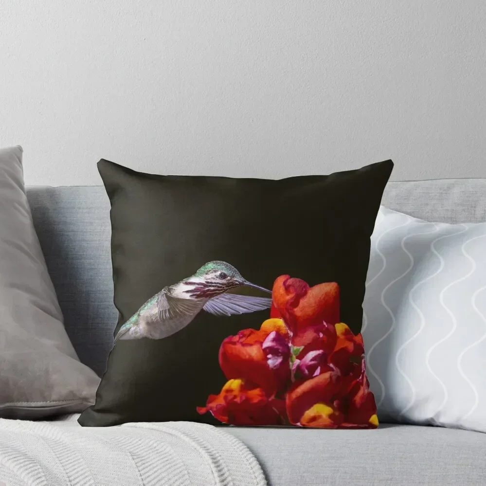 Calliope on Black Throw Pillow Pillow Cases ornamental pillows for living room home decor items pillow