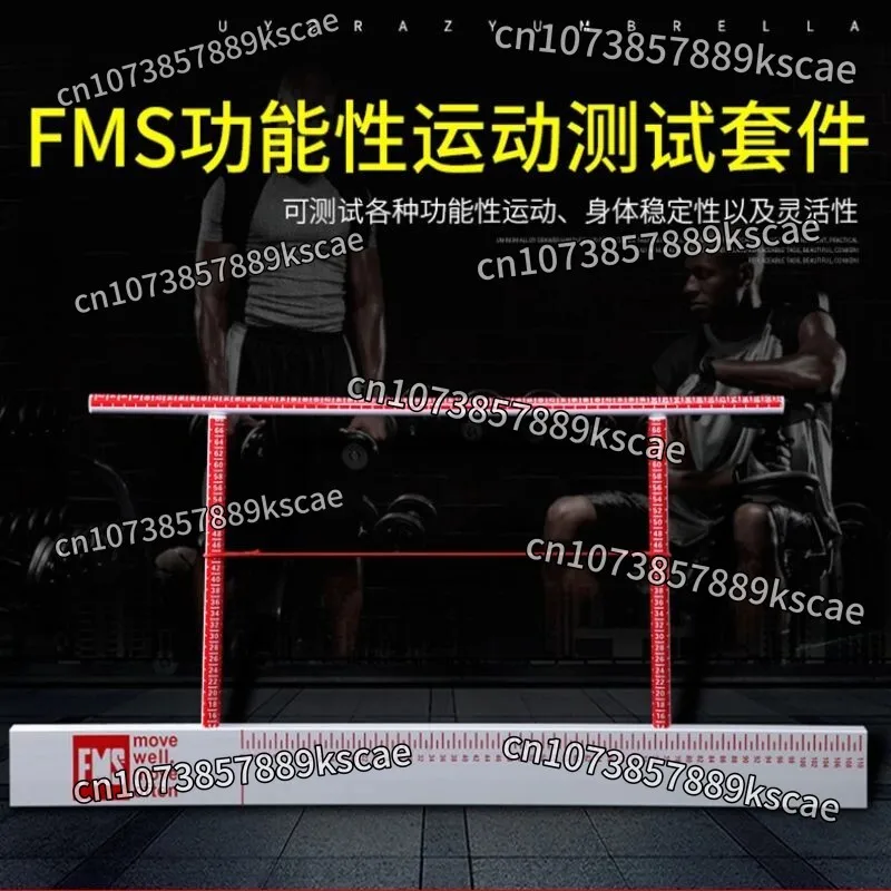 Limb Test, Same Motor Function Screening Fms Test Tool