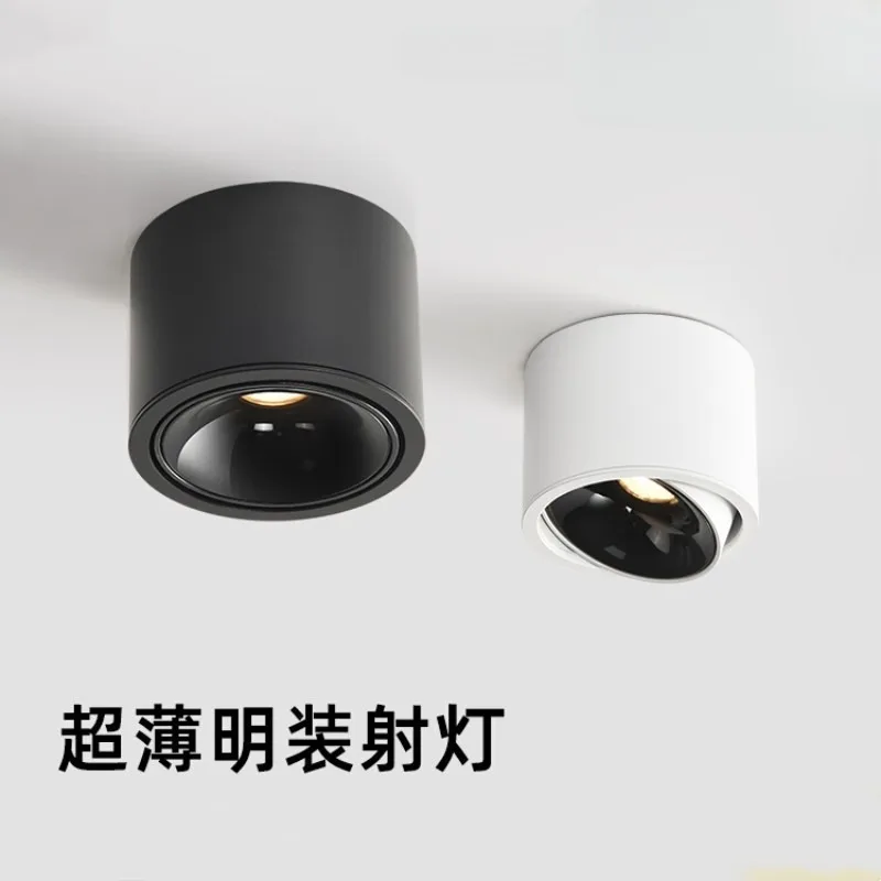 

Ultra thin surface mounted spotlight with anti glare angle for household use, no main light, circular tube light spotlight