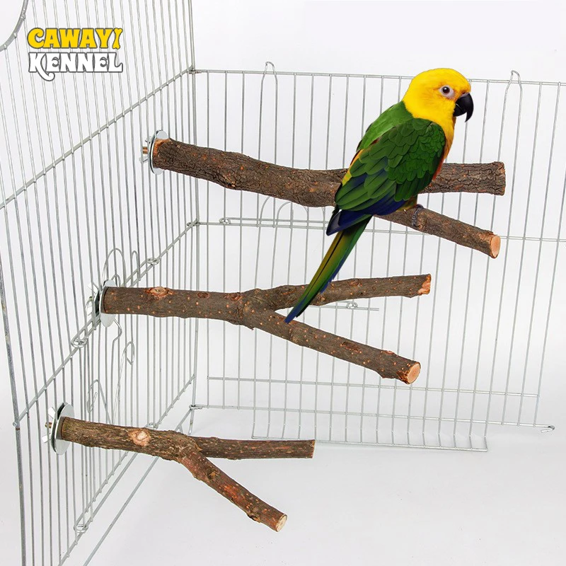 15/20/30cm Natural Wood Pet Parrot Raw Wood Fork Tree Branch Stand Rack Squirrel Bird Hamster Branch Perches Chew Bite Toy Stick