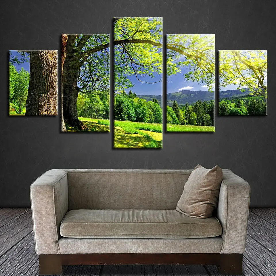 No Framed Canvas 5Pieces National Park Sumava Spring Landscape Mural Wall Print Art Posters Pictures Home Decor Room Paintings