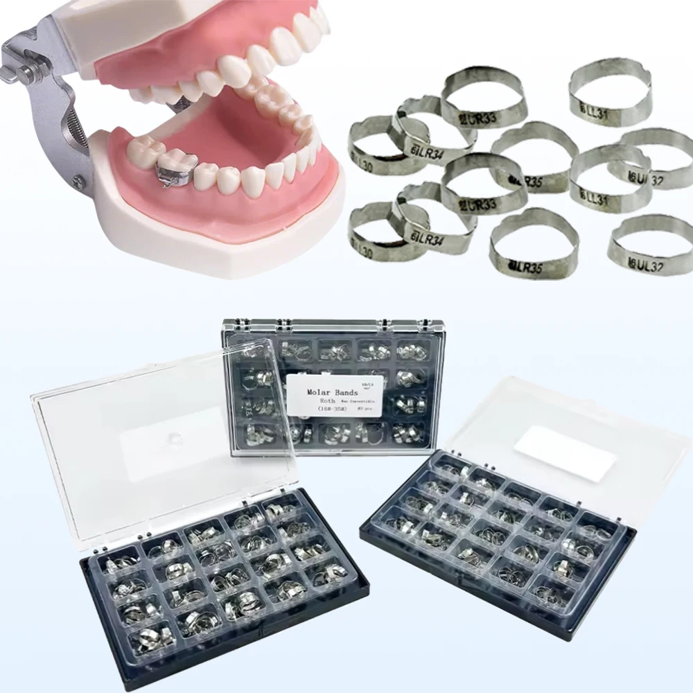 80Pcs Dental Orthod… - image