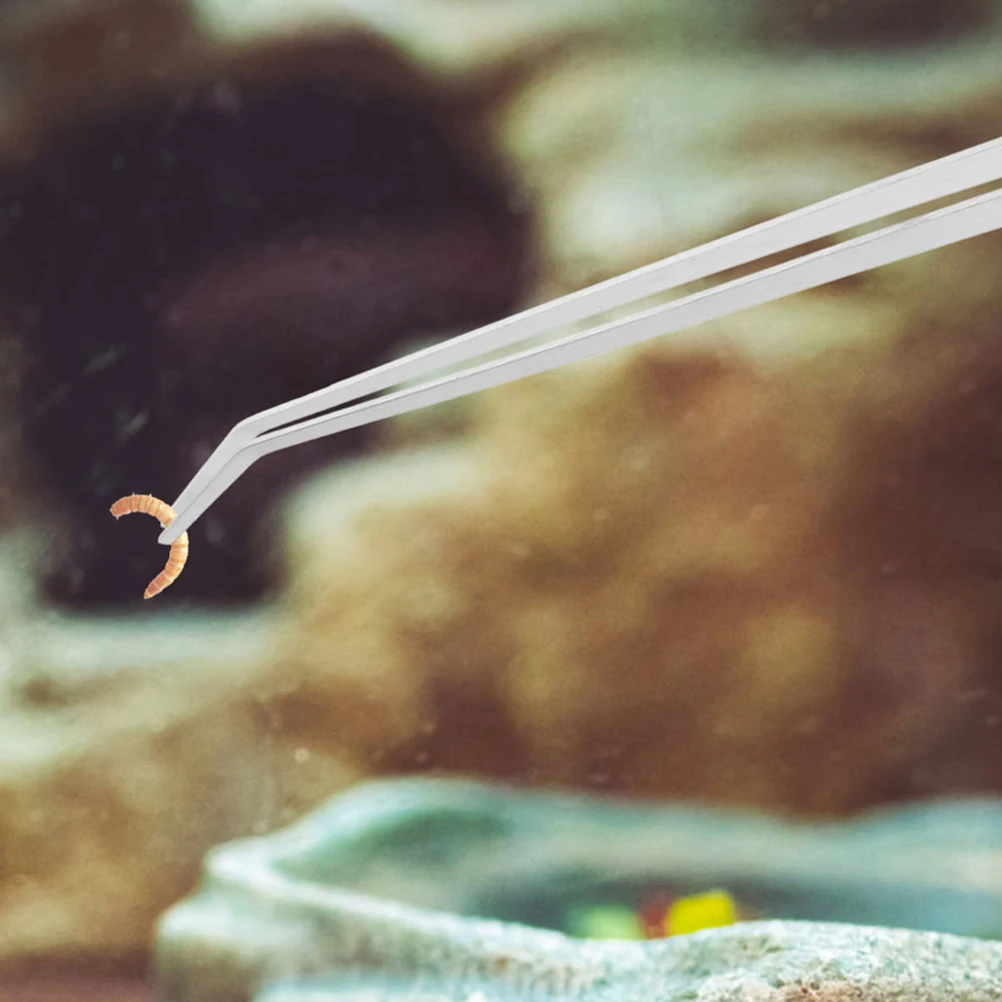 

2Pcs Metal Aquarium Tweezers Reptile Feeding Tools Long Straight Curved Tips Fish Tank Terrarium Flat Tipped Tweezers