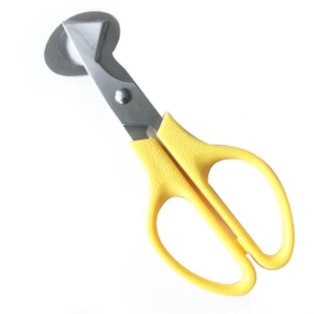 Stainless Steel Quail Egg Cutter Scissors Pigeon Bird Quail Egg Cutter Opener Cracker Kitchen Clipper Tool