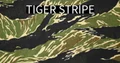 6-TIGER STRIPE