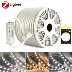 220V CCT LED Strip with Zigbee 3.0 Smart Controller Dimmer kit SMD5630 White+Warm white Lights for  Smartthings Tuya  Alexa