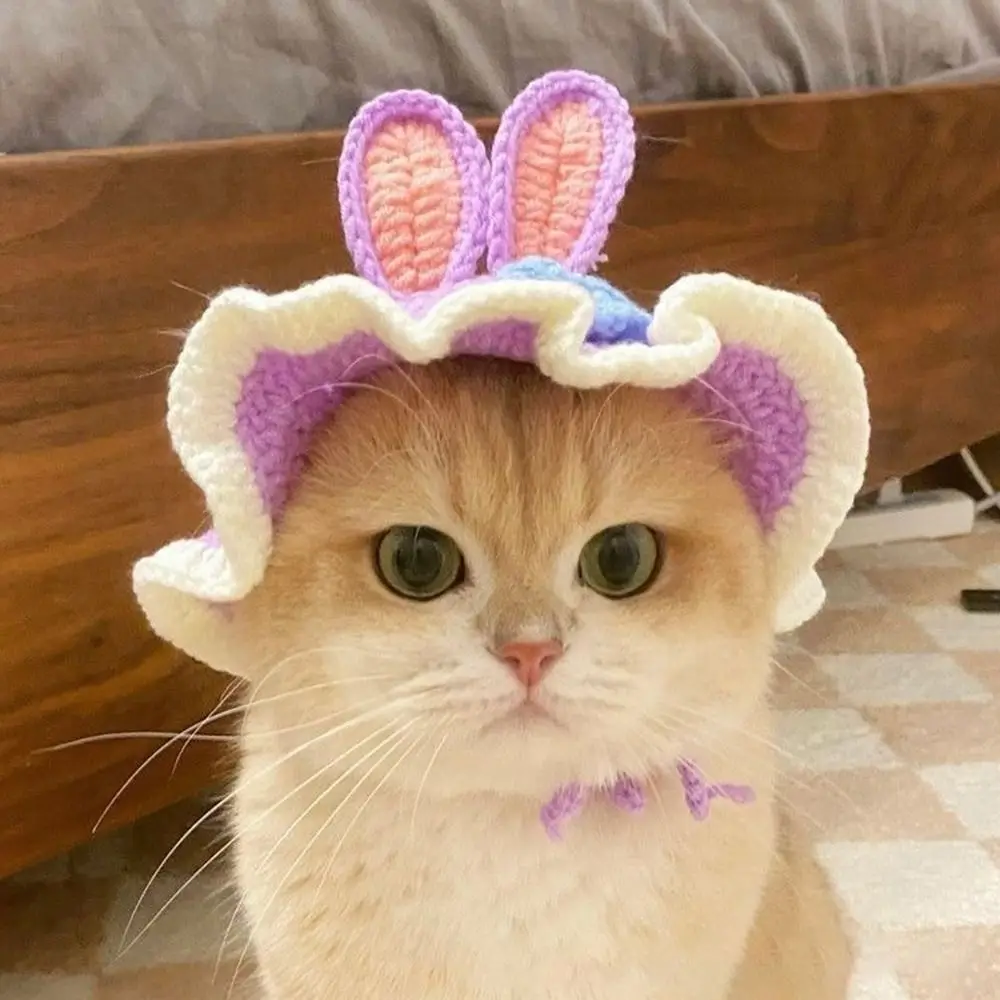 Handmade Funny Cat …