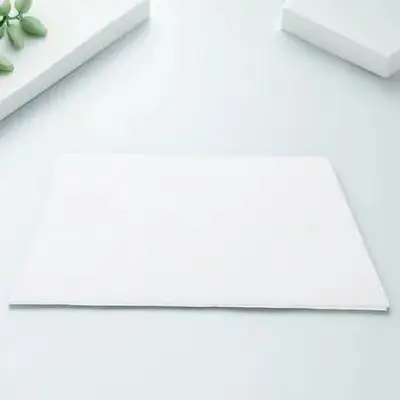 

100Pcs Disposable Bird Cage Paper Mat Absorbent Quick Dry Leak Proof Parrot Cage Liner Paper for Hygienic Comfortable Daily Care