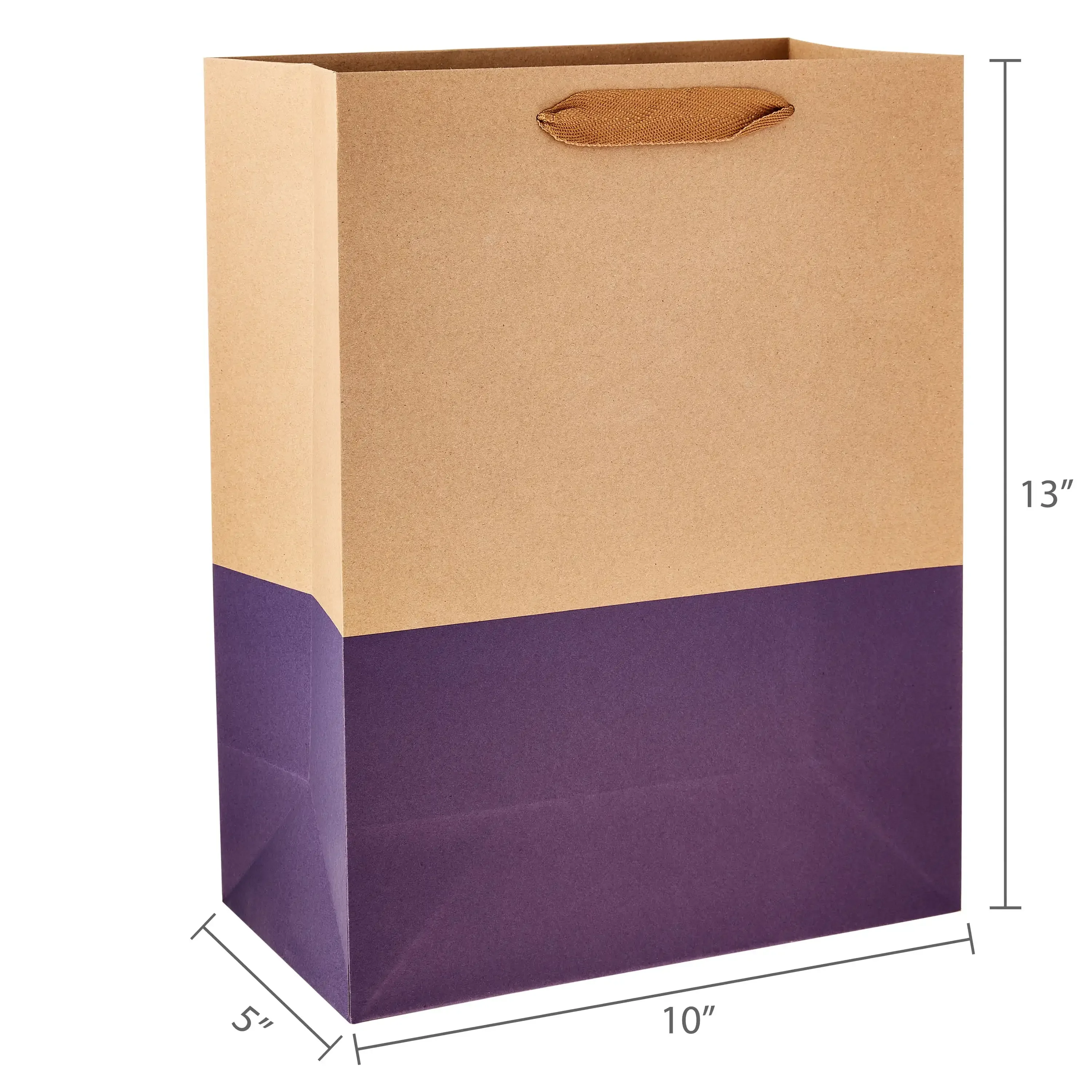 X-Large Kraft Paper Bags with Color Block, 10" x 13", 10 Count