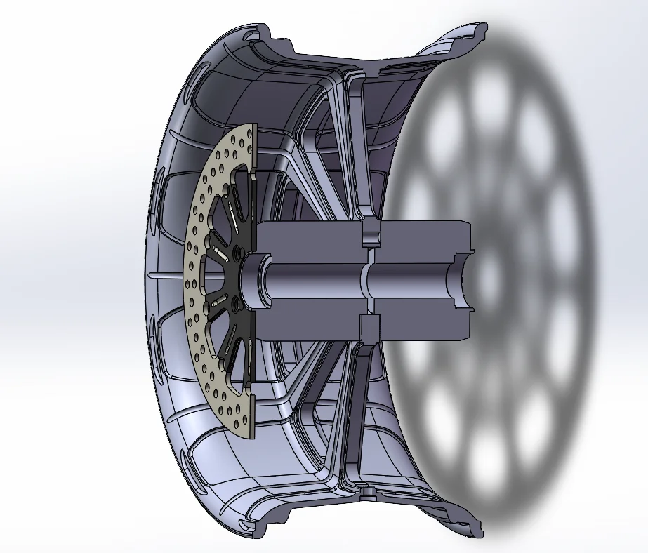 Custom Brake Disc for  Motorcycle Forged Wheel
