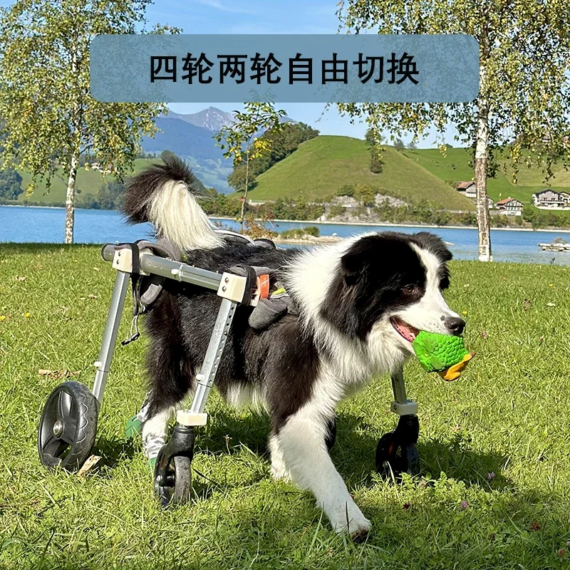 Dog Wheelchair Pet Wheelchair Four Limbs Dog Disability Training Wheelchair Rehabilitation Scooter Senior Four Wheeler Dog Car