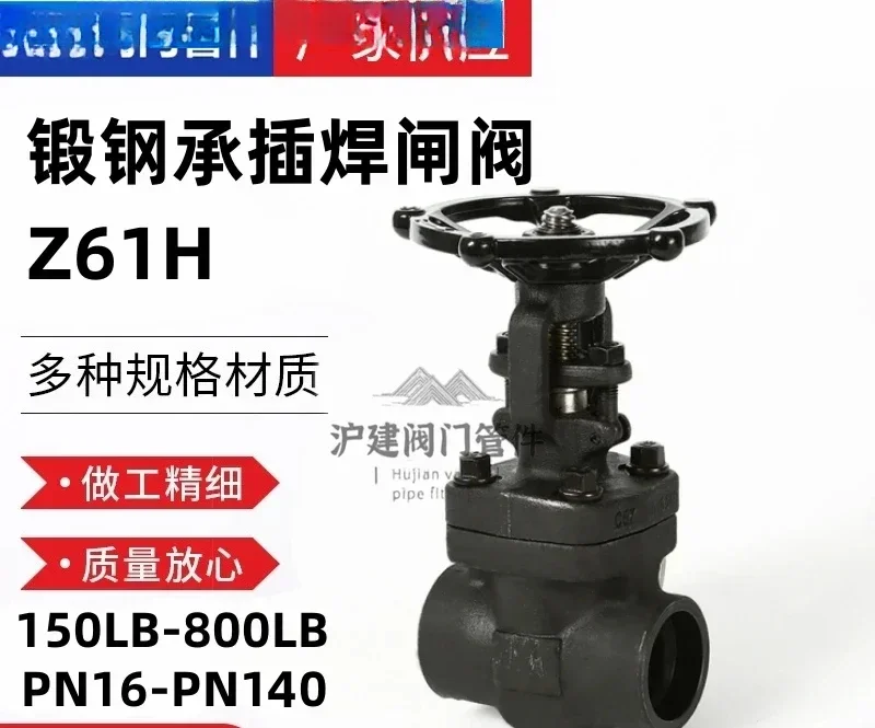 

Z61H-800LB Forged Steel Socket Welding Gate Valve High Temperature and High Pressure Heat Transfer Oil Steam 425 ° C