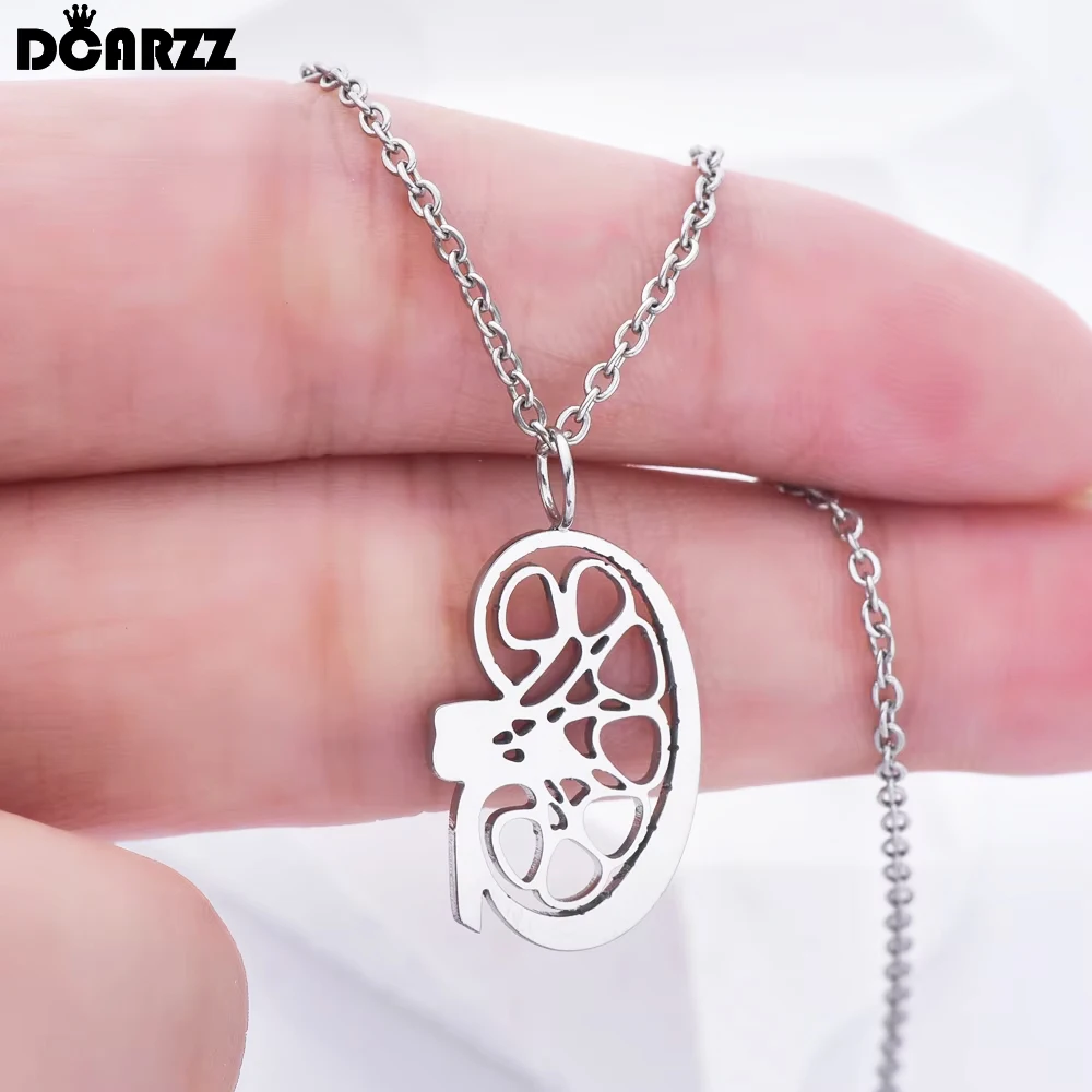 DCARZZ Stainless Steel Kidney Pendant Necklace Medical Anatomy Jewelry for Biologist Doctor Nurse Quality Necklace Gifts