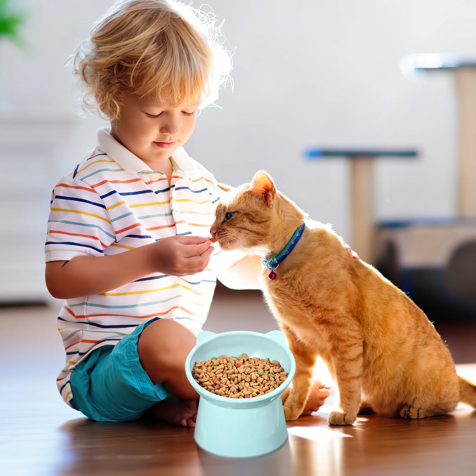 

3pcs Cat Bowl Elevated Bowls for Indoor Cats Dog Feeder Raised Food Tilted Cervical Protection Ergonomic Design Anti Spill