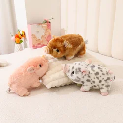 25CM Cartoon Simulation Anime Wild Boar Toy High Quality Kawaii Pig Doll Children's Comfort Sleeping Doll Holiday Gift
