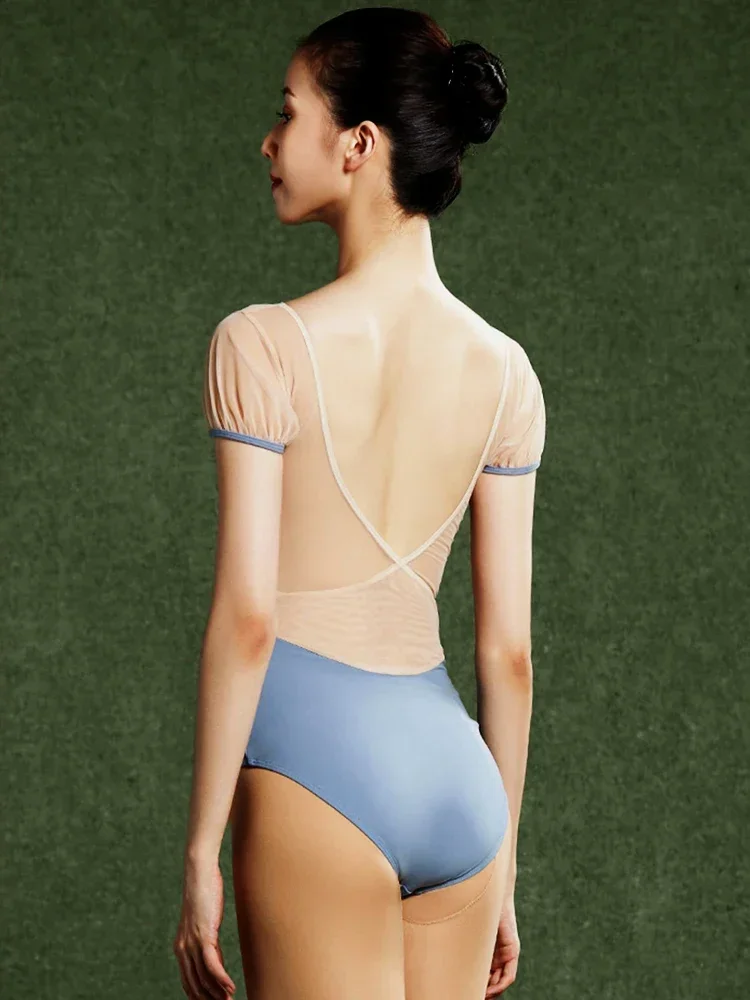 Balletmaillots Voor Dames Borduurwerk Mesh Volwassen Leotard Opstaande Kraag Met Verborgen Gesp Danskleding V-Vorm Ballet Leotard