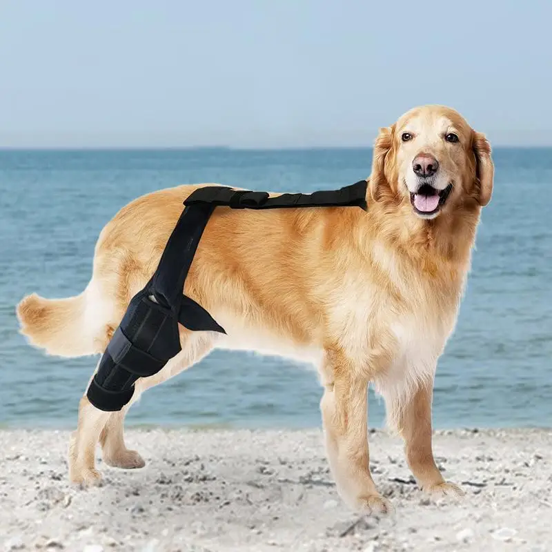 Dog Behind Leg Brace Dog ACL Knee Support Brace Rear Leg Stabilizer For Small Dogs Neoprene Hip Brace With Adjustable Traction