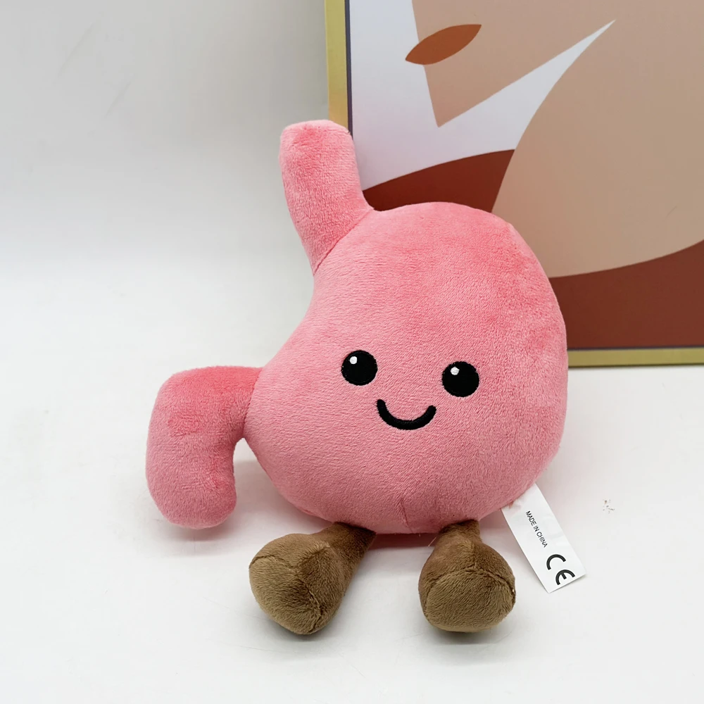 Cute organ plush toy simulation stomach,fun plush toy plush gift,room decoration, boys and girls' birthdays gifts