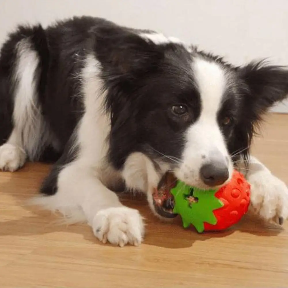 

Strawberry Shaped Dog Chew Toy Interactive Tooth Cleaning Dog Food Leaking Ball Rubber Bite Resistant Dog Grinding Teeth Toy