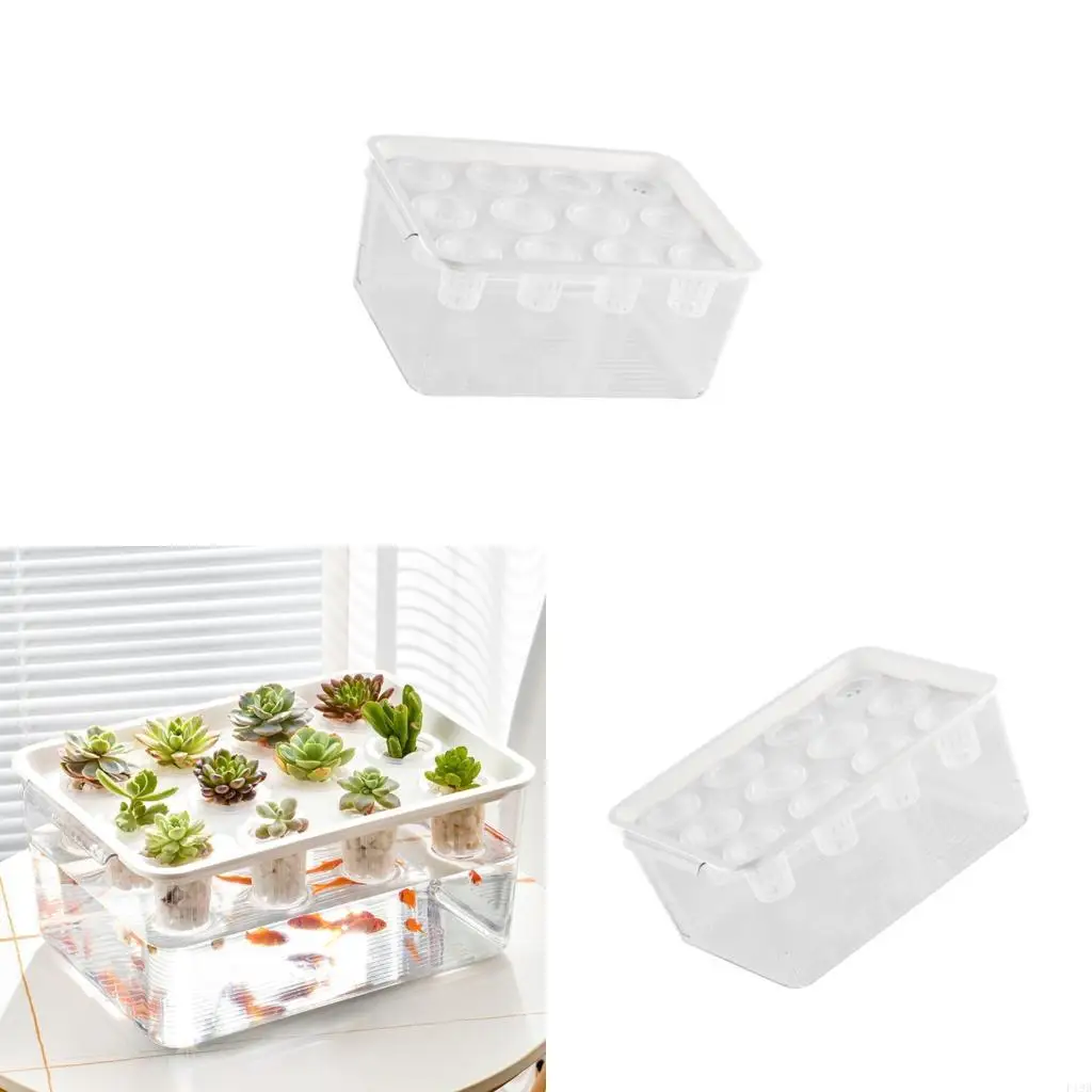 F19B Practical All Purpose Plastic Propagation Case Grower Box Container For Inside Herb Gardens And Education Home Vegetables
