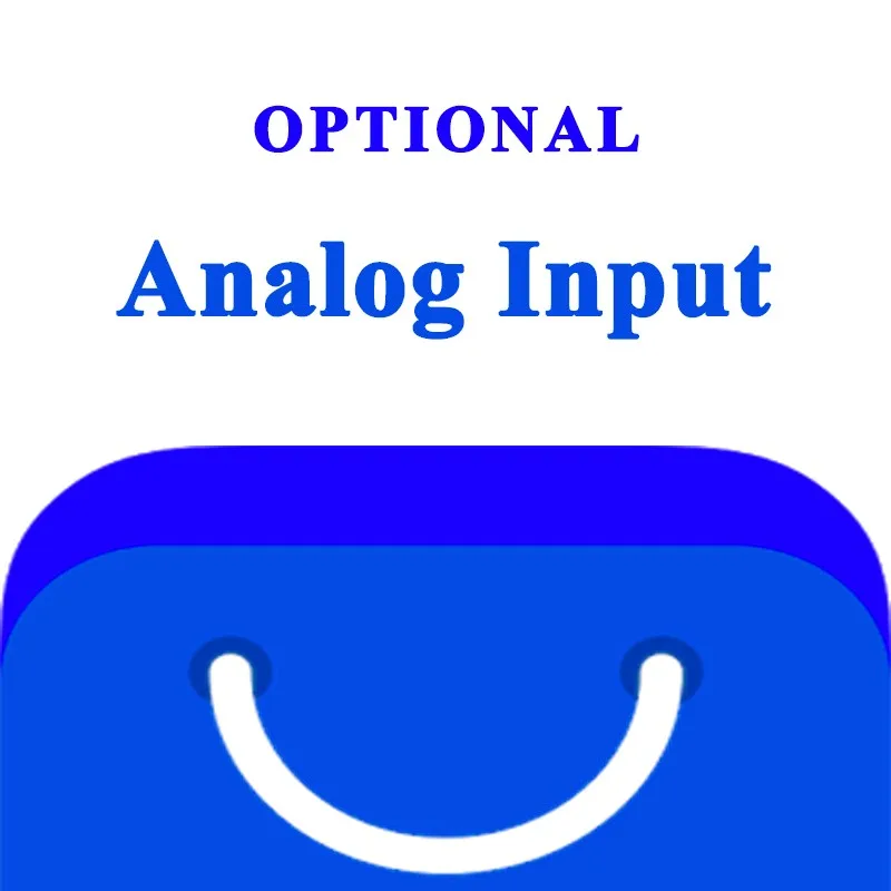 Analog input (optional)