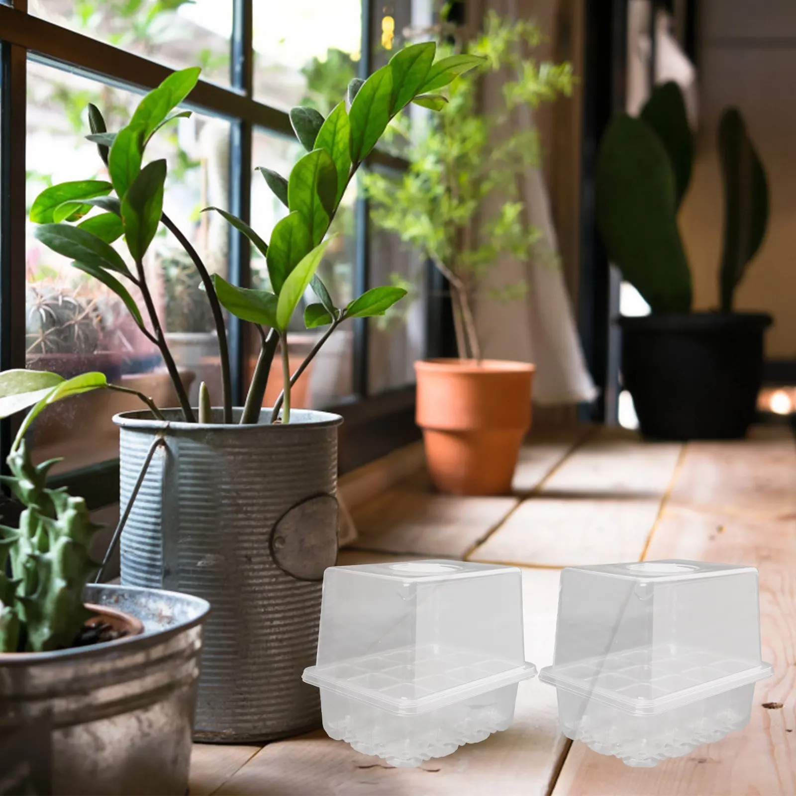 

Набор из 3-х лотков для проращивания рассады: высококачественные пластиковые контейнеры для выращивания суккулентов и цветов, с многочисленными отверстиями, водонепроницаемые