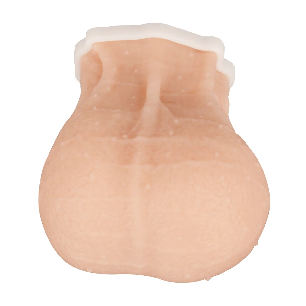 Modelo de testículos de bolso