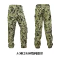 AOR2