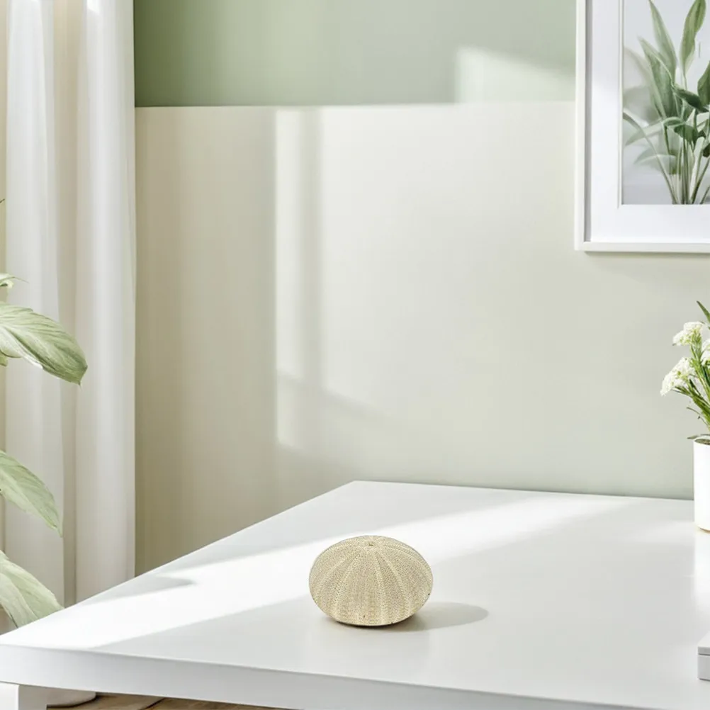 

18Pcs Sea Urchin Shells for DIY Decor Craft Projects Vase Filler Aquarium Fish Tank Landscaping Natural Ornament Beach Themed