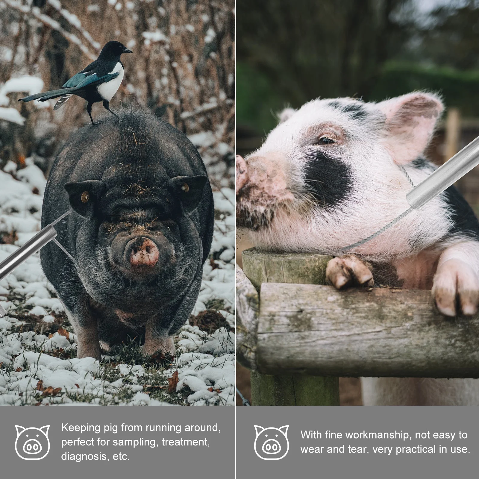 

2 pcs Pig Holding Tool Steel Wire Rope For Farming Equipment Durable Pig Catcher Snare Multifunctional Metal Holder Squeezer