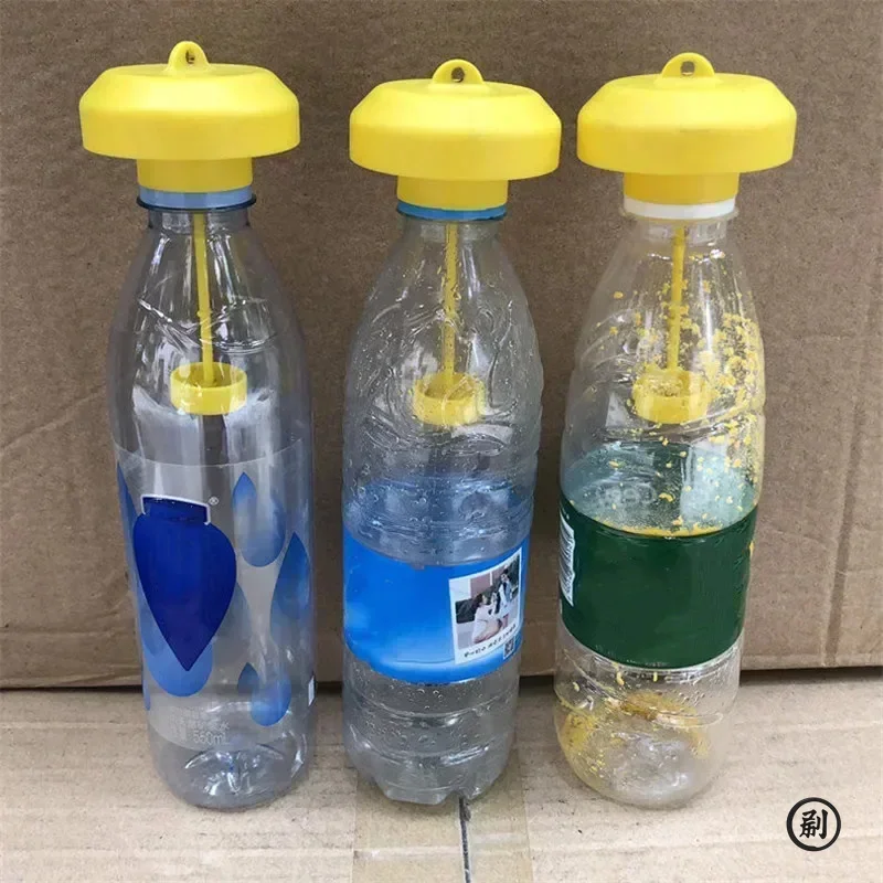 Trampa para Drosophila amarilla de plástico para matar frutas, atrapamoscas, Control de insectos y plagas para granja en casa, 6x6x2Cm, 2 uds.