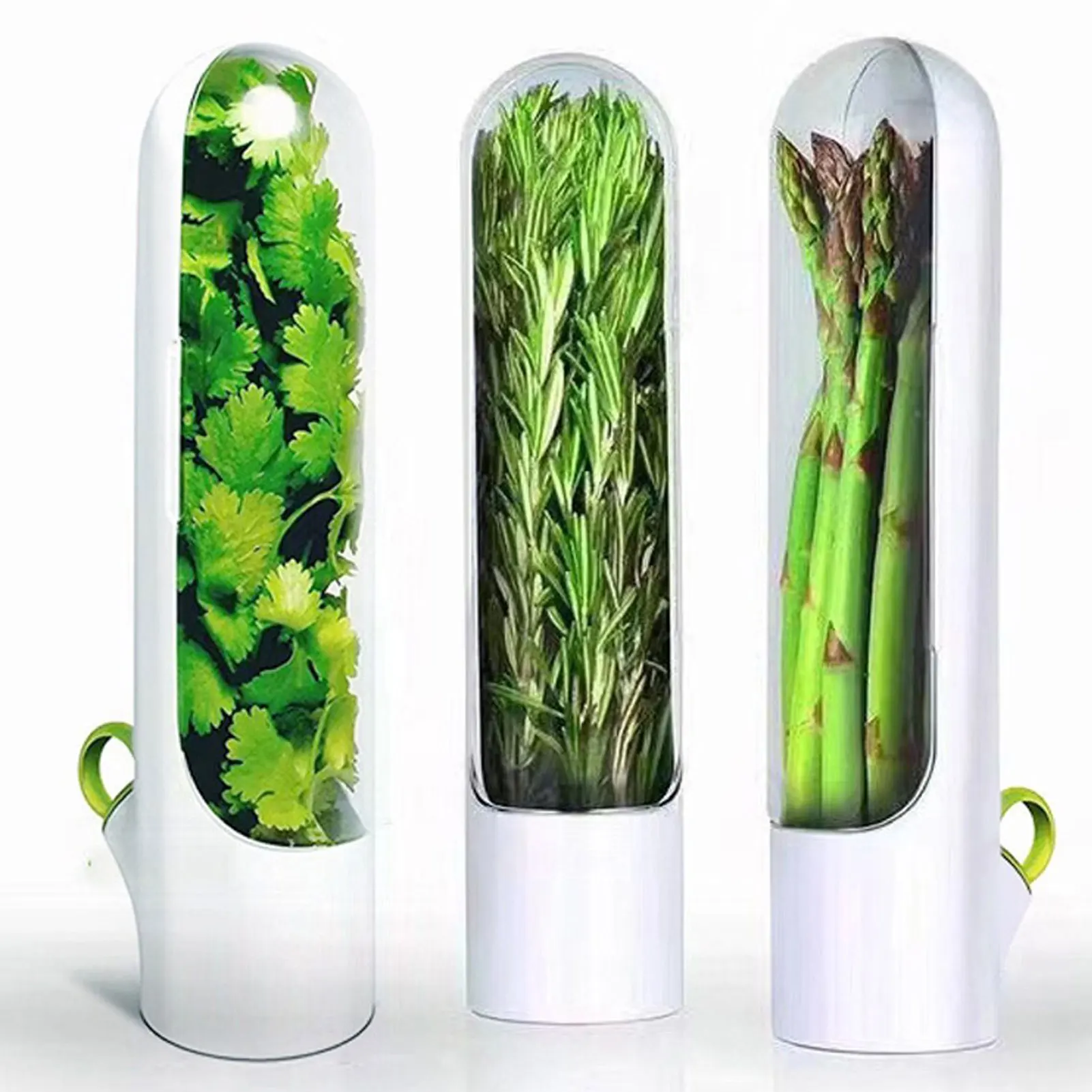 Herb Keeper Herb Storage Container Savor Preserver for Cilantro Mint Parsley Asparagus