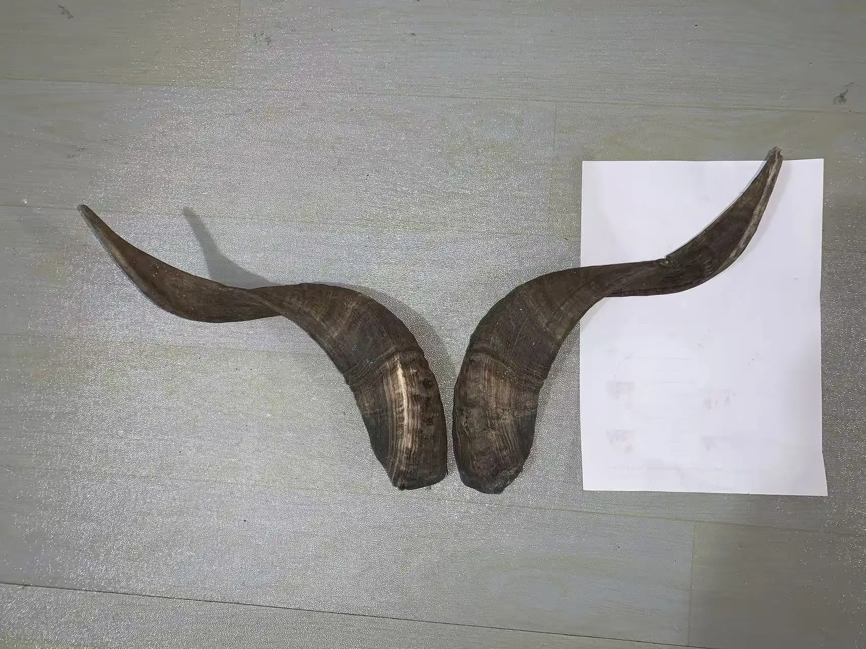 Natural Sheep horns, goat horns,scraping board, comb, horn beads, raw materials, decorative crafts