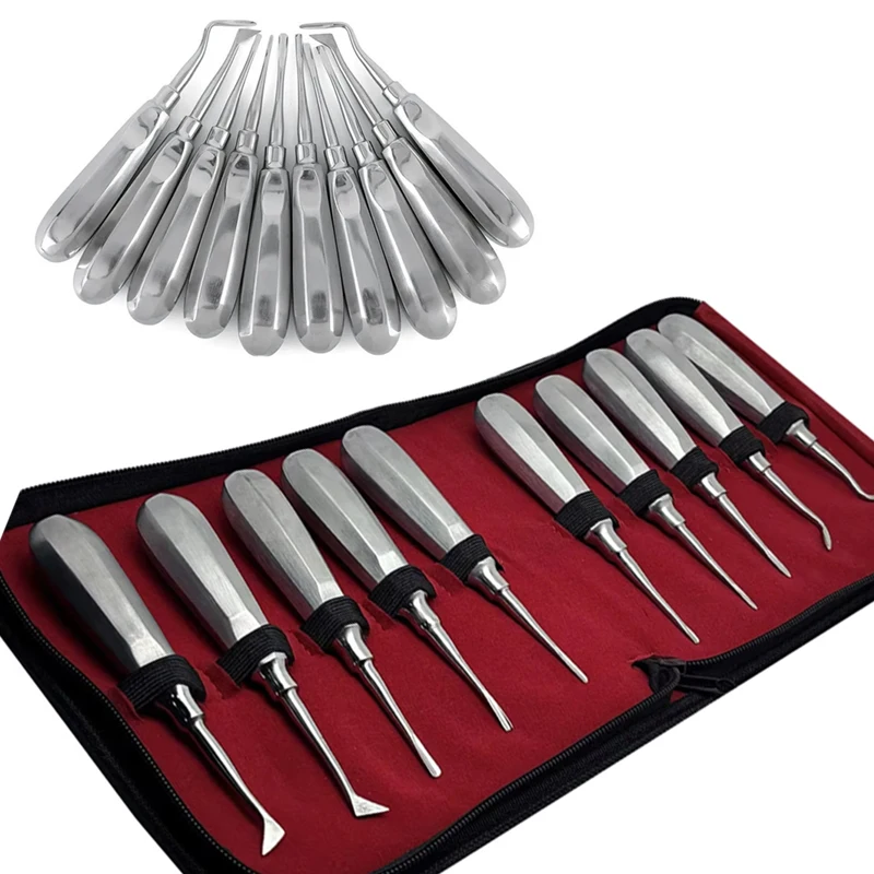 

10Pcs Dental Elevator Kit Stainless Steel Tooth Extractor Set Straight/Curved Root Lifter Dentist Surgical Tools