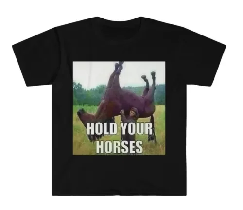 Hold Your Horses Antimeme Funny Meme Shirt Unisex Tee  Anime Graphic T-shirts for Men Clothing Women