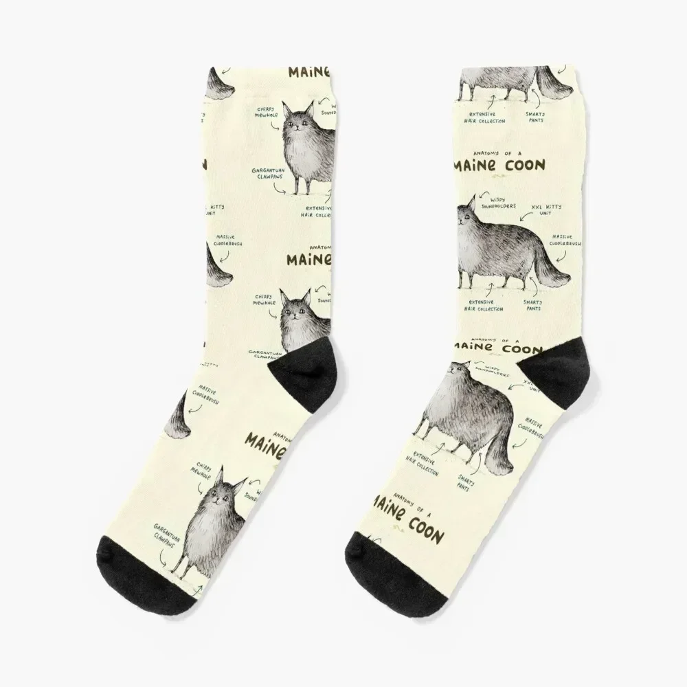 Anatomy of a Maine Coon Socks new year christmas gift Boy Socks Women's