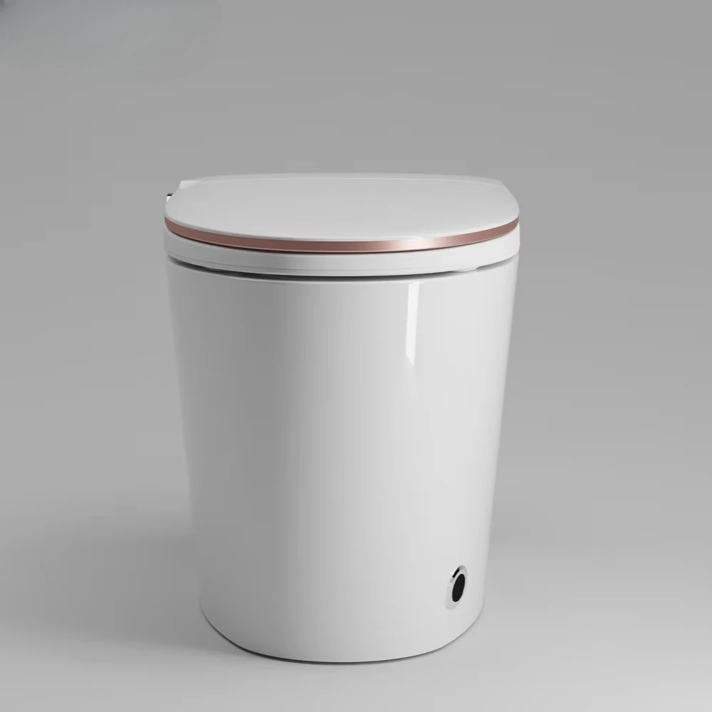 Latest Hot Selling Instant Heating Smart Toilet