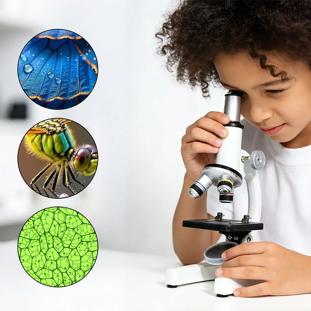 

64X-2400X Magnification Biological Microscope with LED Light System - Compound Microscope with Phone Adapter for Education