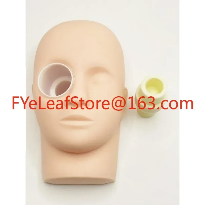 

Ophthalmic Surgery Practice Model Animal Eye Pig Eye Practice Ophthalmic Head Model.