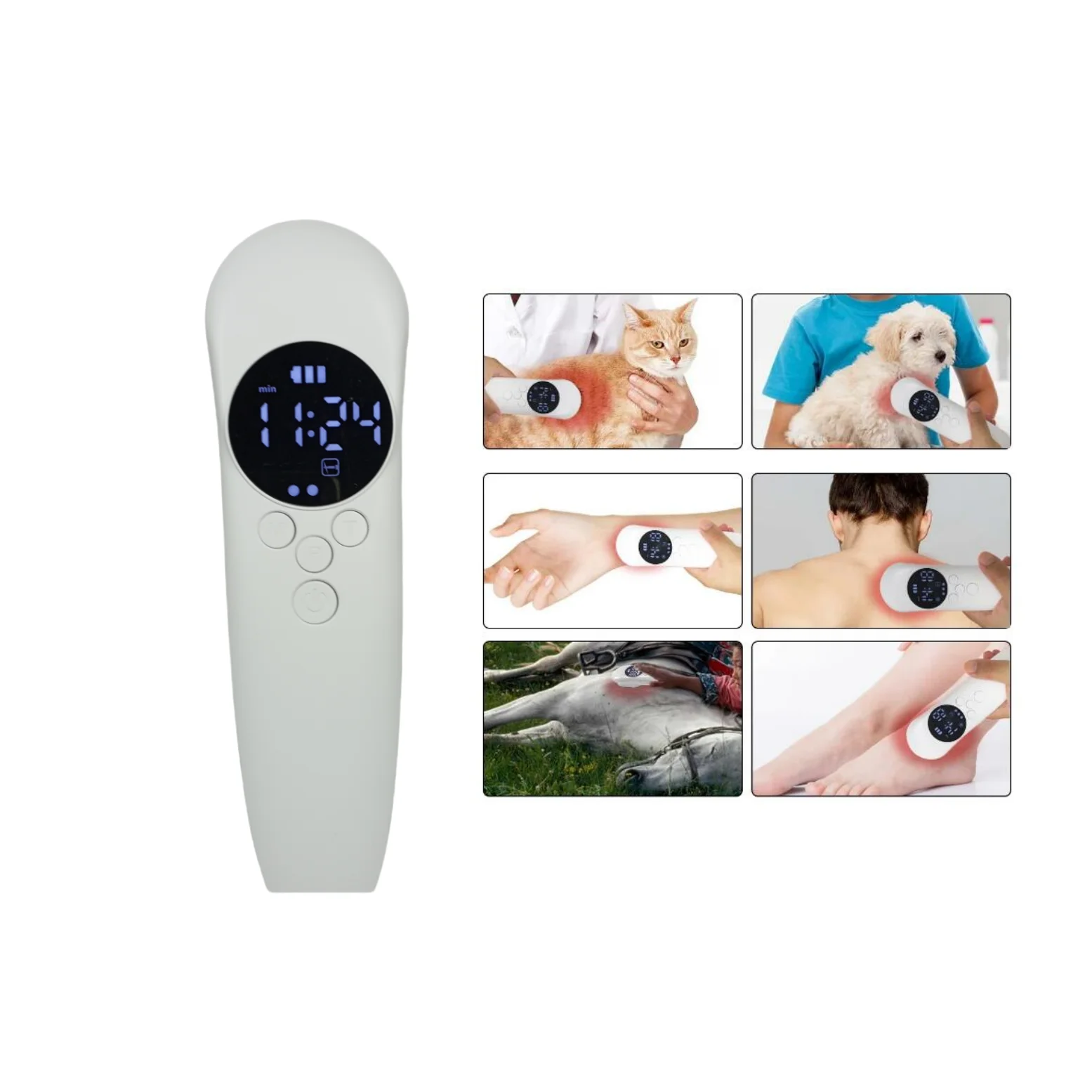 

Professional Home Beauty Apparatus for Animals Soft Cold Laser Therapy Light Therapy Veterinary Acupuncture Massage Products
