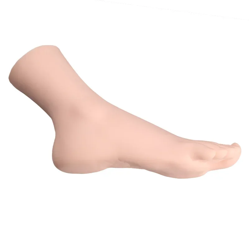 4-модели женской стопы