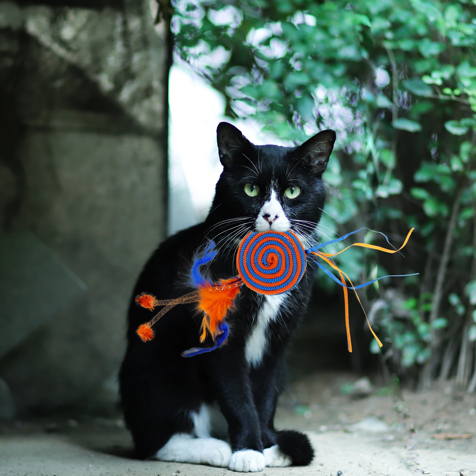 

Lollipop Interactive Chewing Bite Play Exercise Indoor Entertainment Chew for Cats Small Animal Hanging Toy