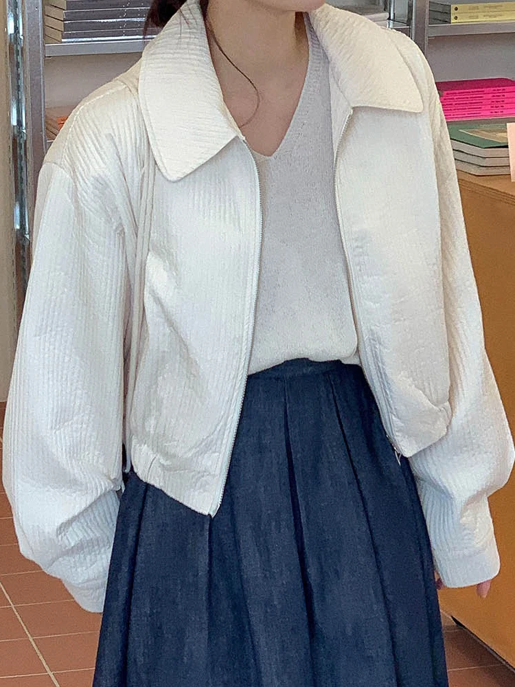 

Модная женская куртка с короткой молнией, шикарный отложной воротник, свободный универсальный топ в корейском стиле, однотонное женское пальто