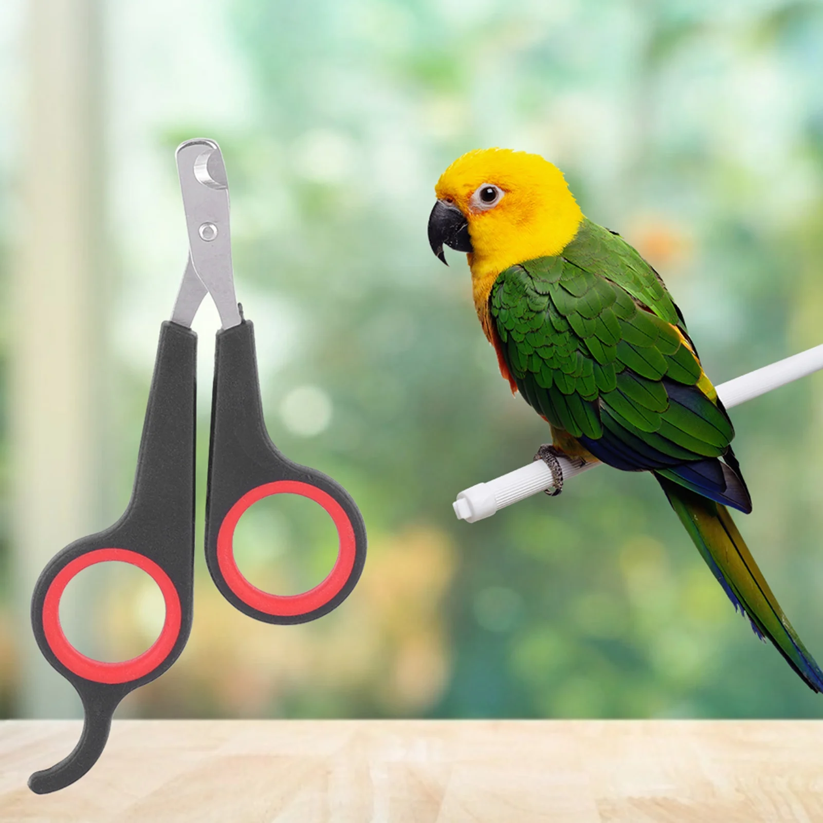 Animal Nail Scissors Pet Bird Parrot Small Animals Accessory Grooming Tool Nail Scissors Clipper Black and Red Bird Nail Clipper