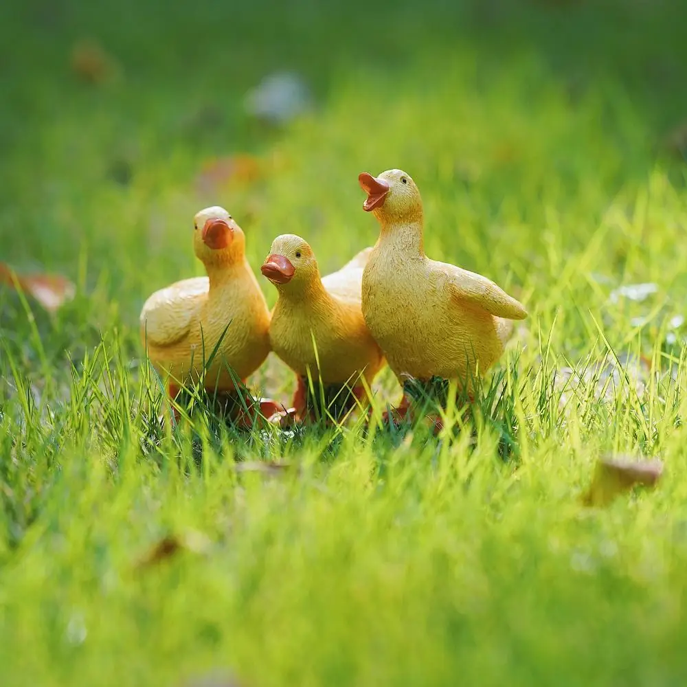 

Garden Decor Resin Three Ducks Statue Cartoon Cute Animal Miniatures Figurine Decorative Desktop Ornament Cabinet