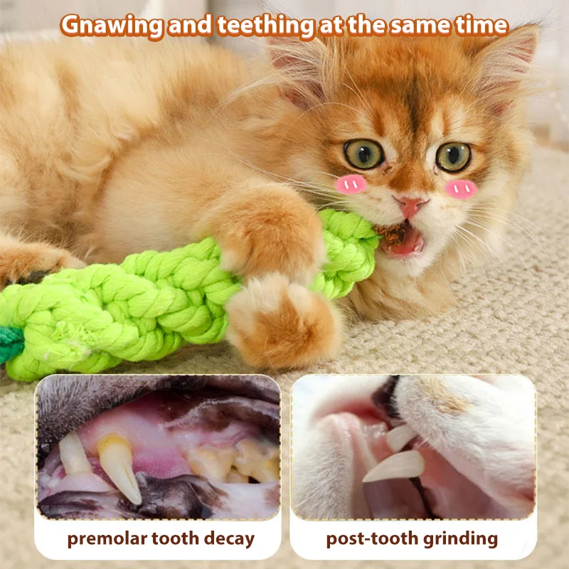 HOOPET Cat Toy Pet Teething Stick Cat Bite Catnip Teasing Stick Kitten Kitten Self-help Relief Cat Toys Supplies