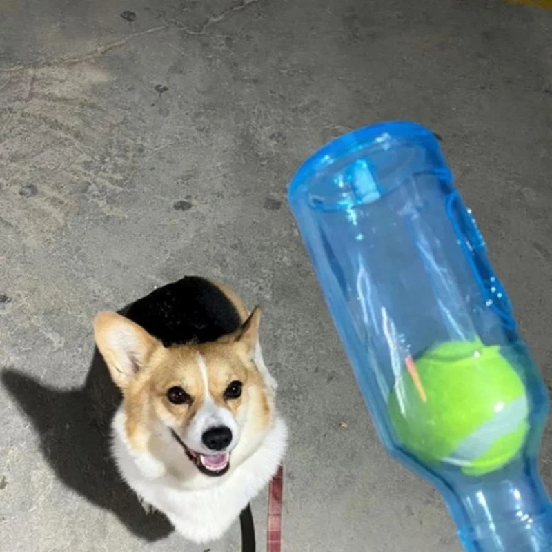 Dog Toy Water Bottle Cruncher Chew Bottle Toys For Dogs Plastic Water Bottle Chew Toys For Dogs With Ball