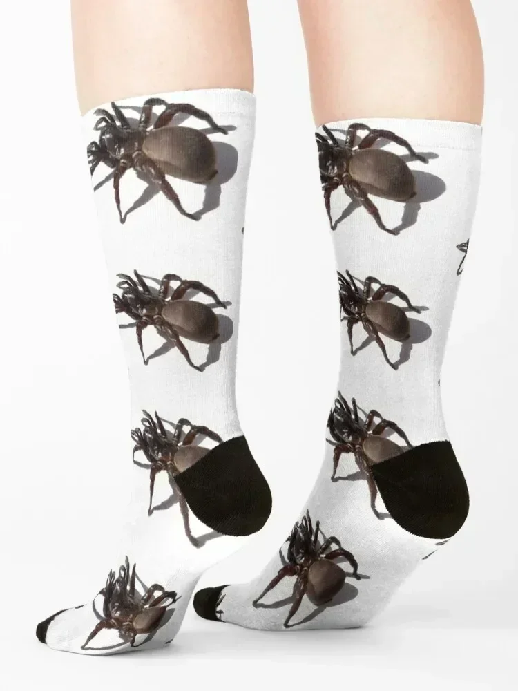 Tarantula Socks fashionable Novelties hip hop Rugby Socks For Men Women's