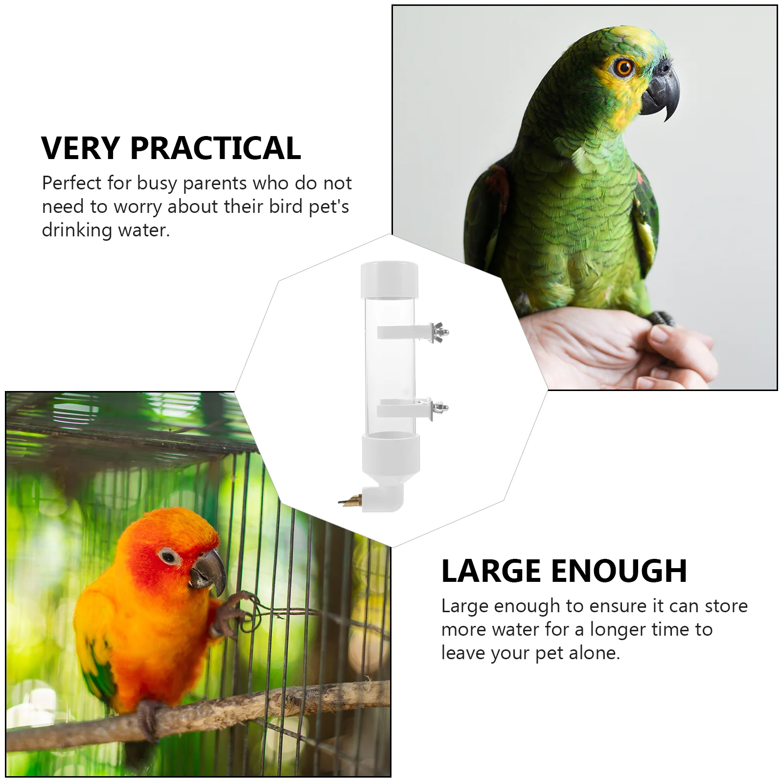 Parrot Drinking Fountain Dove Water Container Drinker Nutrition & Watering Suppliescage Large Dispenser Automatic Plastic